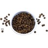 Riverwood Indoor - Kip & Eend met Zalm 300gr