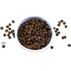 Riverwood Indoor - Kip & Eend met Zalm 2kg
