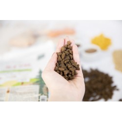 KIVO kat -  Adult Kip & Zalm 5 kg