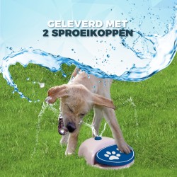 Splash Water Fountain
