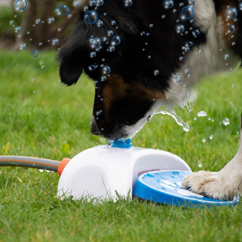 Splash Water Fountain