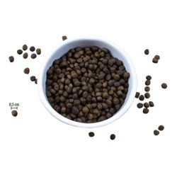 Riverwood Kitten - Kip & Eend met Zalm 6kg