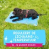 Premium Gel Cooling Mat - L - 90x60cm