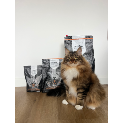 Riverwood Derma - Schotse Zalm & Witvis met Haring 300gr