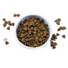Riverwood Outdoor - Rendier & Eend met Everzwijn 2kg