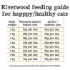 Riverwood Outdoor - Rendier & Eend met Everzwijn 2kg