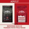 Riverwood Adult - Rendier & Hert met Wild Zwijn 2kg