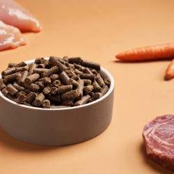 DARF Vol - Regular 19 kg | Koudgeperst 60% vlees