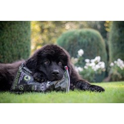 OP is OP Riverwood Junior Large Breed - Eend & Kalkoen met Fazant 12kg (tht 09-26)