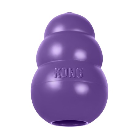 KONG Senior Large voor oudere honden
