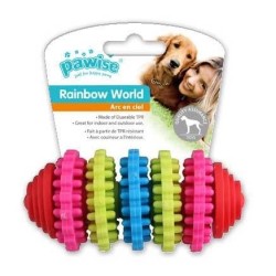 Pawise Rainbow World Dental 11 cm
