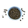 Riverwood Adult - Rendier & Hert met Wild Zwijn 2kg