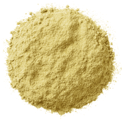 FLEXREX / HORSEFLEX - GROENLIPMOSSEL 125 gram