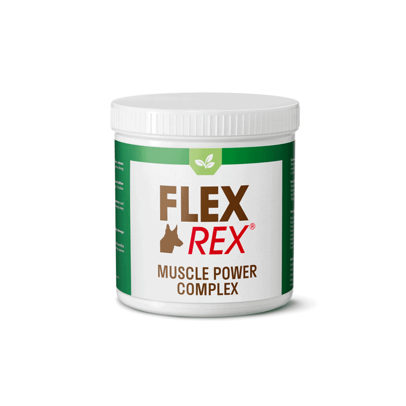 FLEXREX / HORSEFLEX - MUSCLE POWER COMPLEX 500 gram
