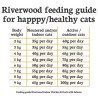 Riverwood Sterilised - Hert & Lam met Everzwijn 300gr