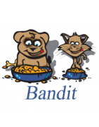 BANDIT (bio)